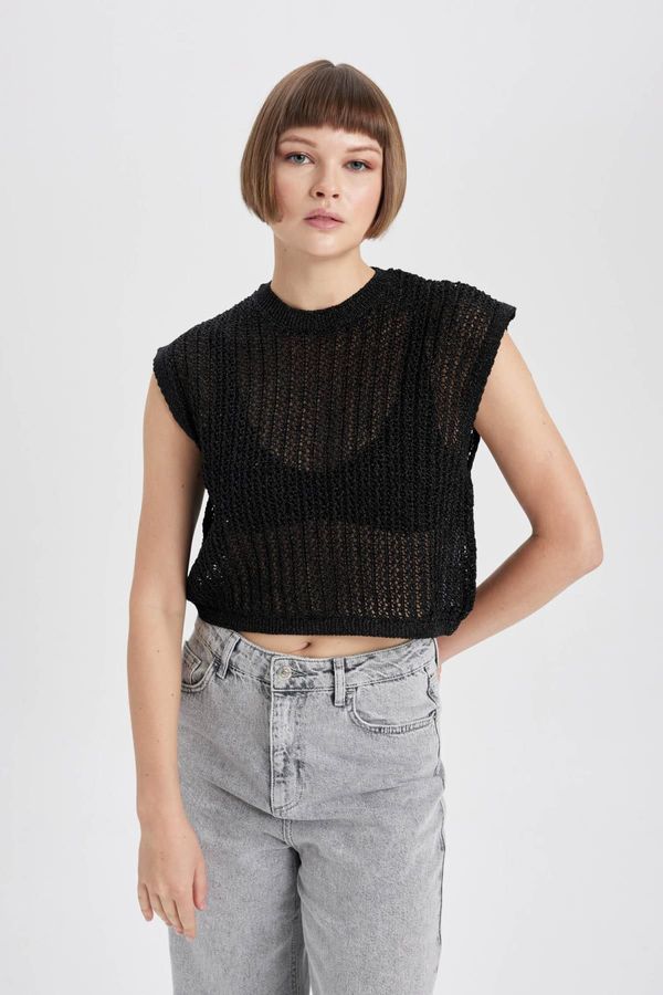 DEFACTO DEFACTO Relax Fit Crew Neck Shiny Fabric Knitted Sweater