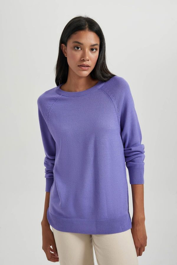 DEFACTO DEFACTO Relax Fit Crew Neck Sweater