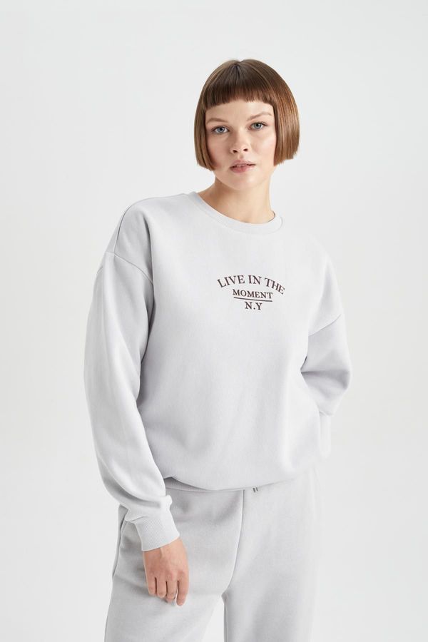 DEFACTO DEFACTO Relax Fit Crew Neck Thick Sweatshirt