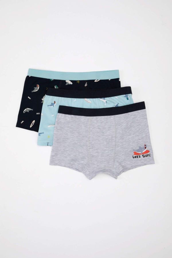 DEFACTO DEFACTO Size 3-Pack Boxer