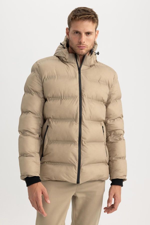 DEFACTO DEFACTO Slim Fit Hooded Lined Puffer Coat