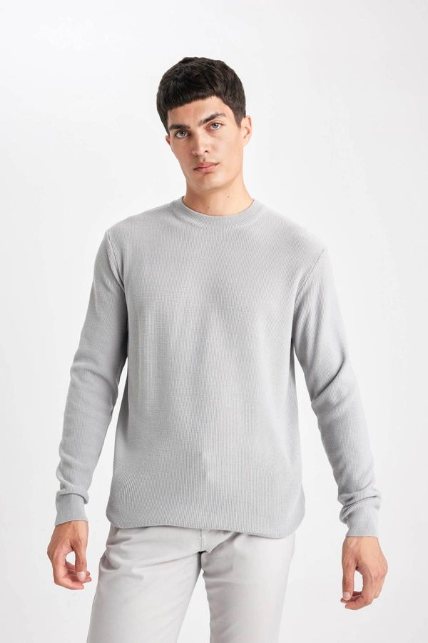 DEFACTO DEFACTO Standard Fit Crew Neck Sweater