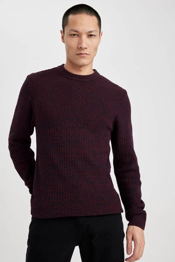 DEFACTO DEFACTO Standard Fit Crew Neck Sweater