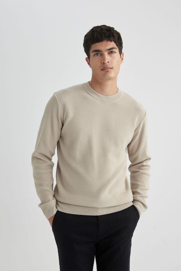 DEFACTO DEFACTO Standard Fit Crew Neck Sweater