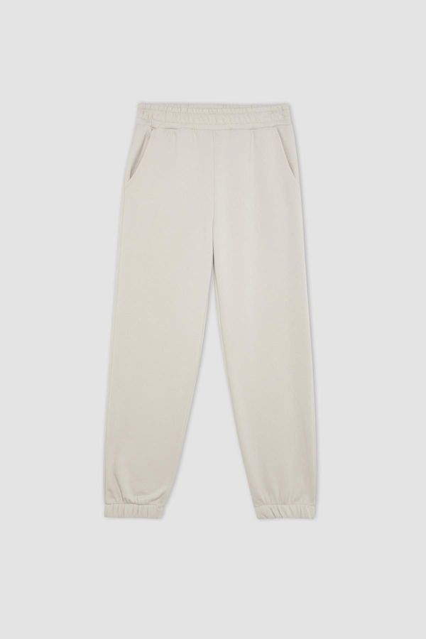 DEFACTO DEFACTO Thick Jogger Sweatpants with Pockets