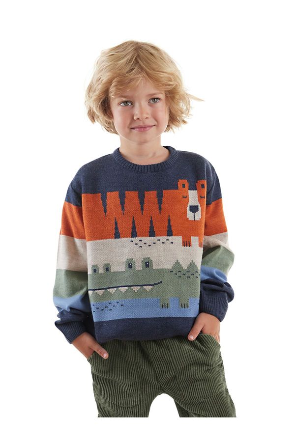 Denokids Denokids Animals Boy's Sweater