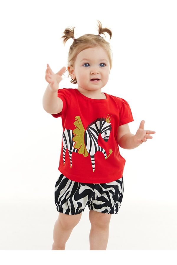 Denokids Denokids Ballerina Zebra Baby Girl T-shirt Poplin Shorts Set