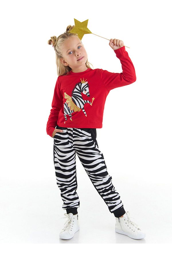 Denokids Denokids Ballerina Zebra Girls Kids T-shirt Pants Suit