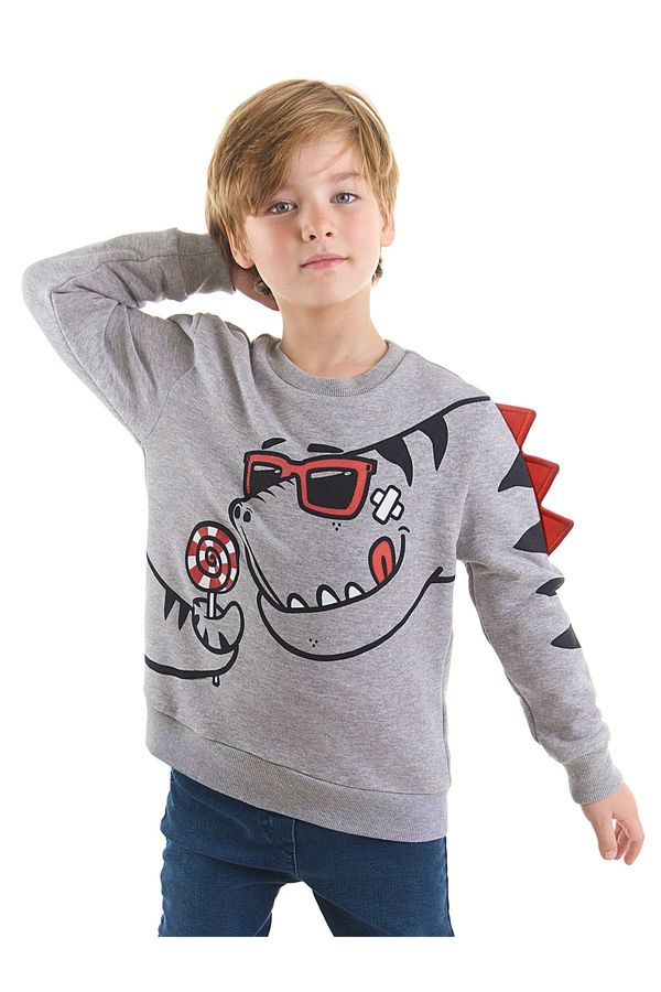 Denokids Denokids Candy Store Dinosaur Boys Gray Sweatshirt