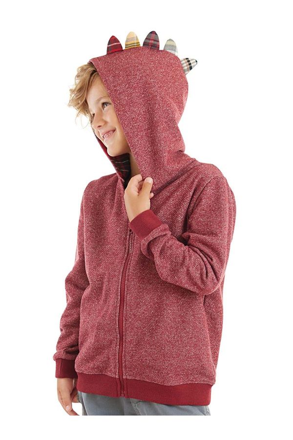 Denokids Denokids Dragon Boy Hooded Sweatshirt