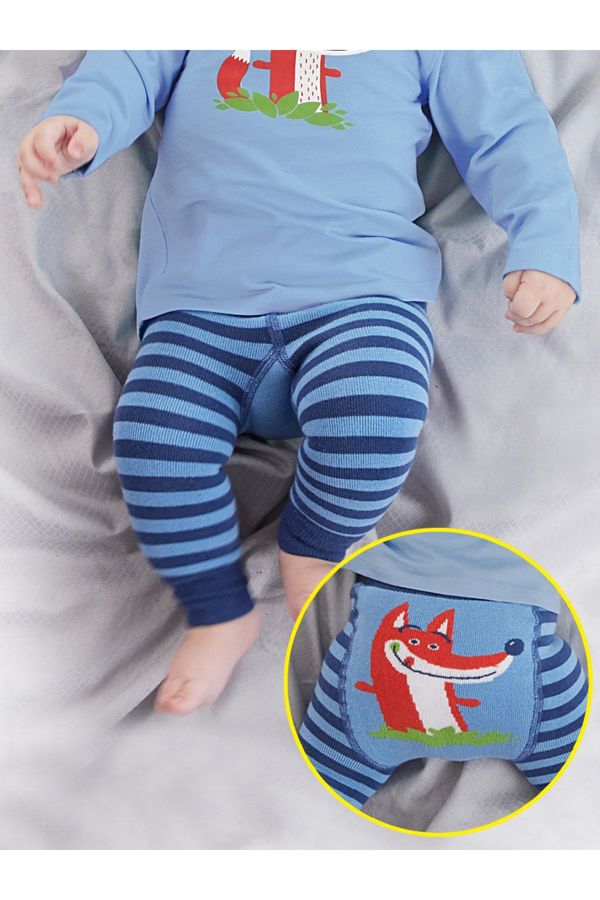 Denokids Denokids Fox Baby Boy Knitted Blue Leggings-Pants