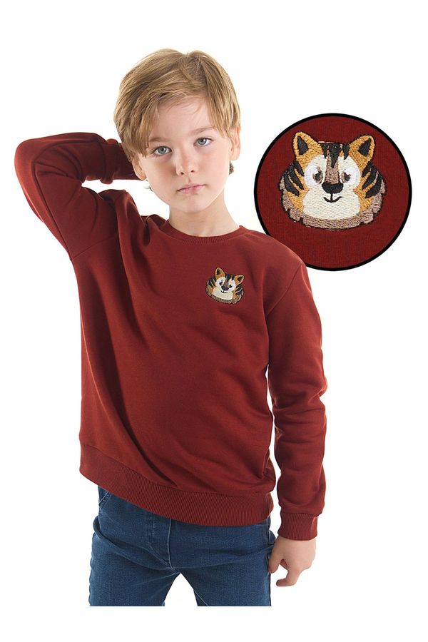 Denokids Denokids Tiger Boys Sweatshirt
