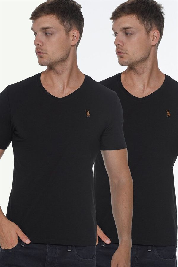 dewberry DOUBLE SET T8568 DEWBERRY V-NECK MEN'S T-SHIRT-BLACK-BLACK