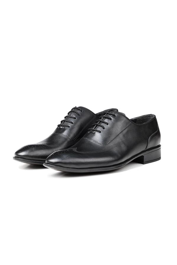 Ducavelli Ducavelli Stylish Genuine Leather Men's Oxford Lace-Up Classic Shoe.