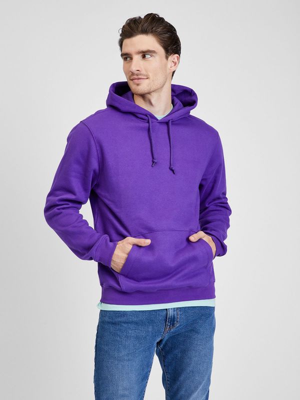 GAP GAP Sweatshirt vintage soft with hood - Men