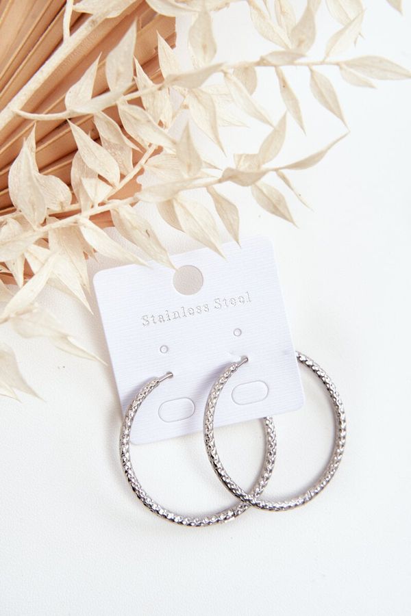 Glam Chic Glam Chic Fashionable earrings in the shape of a circle Silver