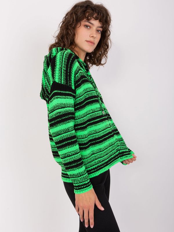 Fashionhunters Green and black wool sweater