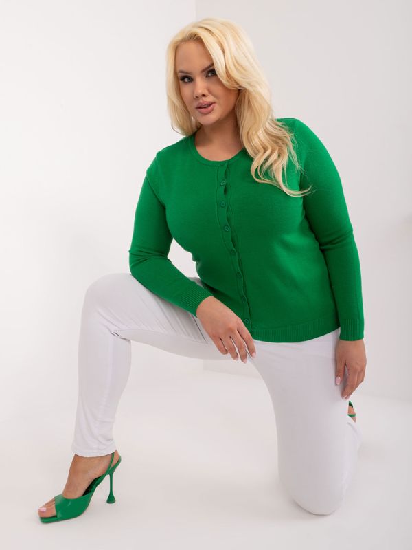 Fashionhunters Green women's plus-size sweater with cuffs