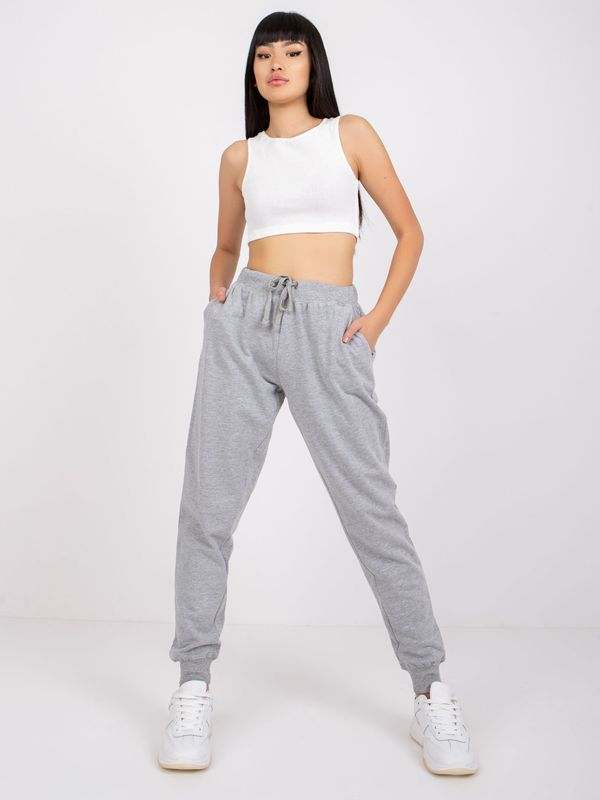 Fashionhunters Grey women's sweatpants