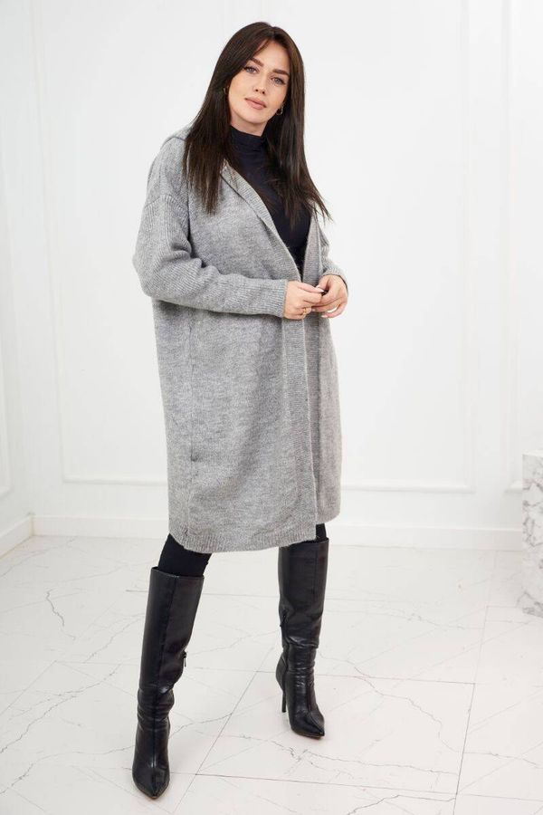 Kesi Hooded sweater in gray