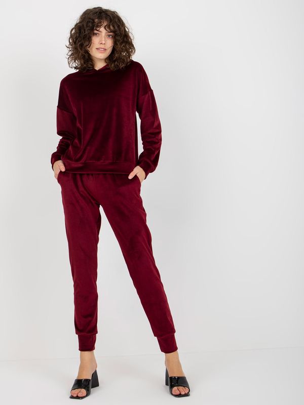 Fashionhunters Lady's chestnut velour set with trousers