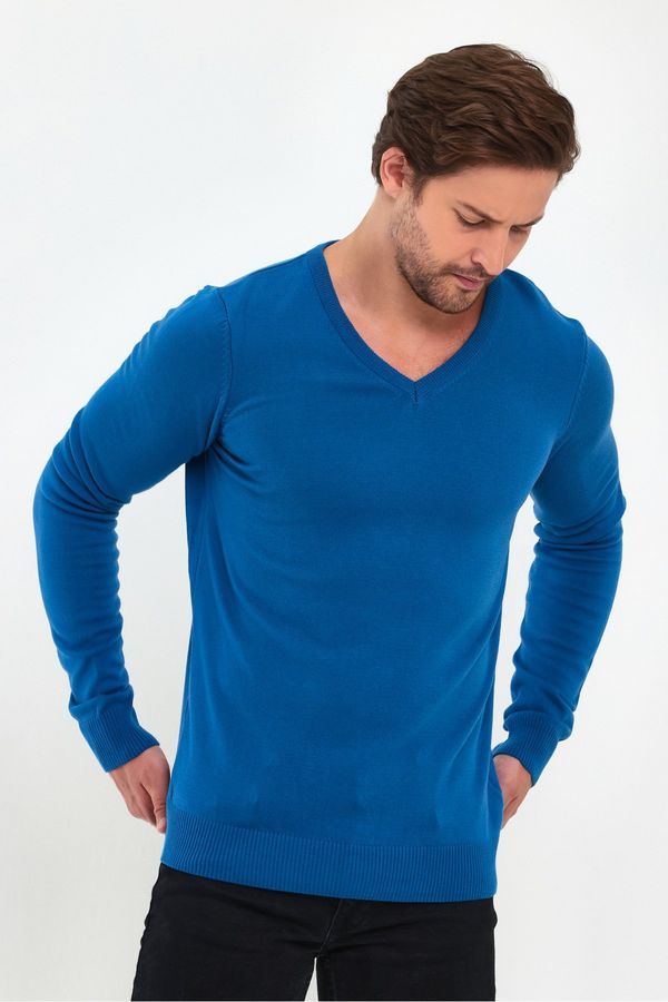Lafaba Lafaba Men's Blue V-Neck Basic Knitwear Sweater