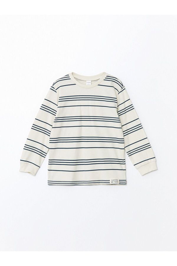 LC Waikiki LC Waikiki LCW Crew Neck Long Sleeve Striped Baby Boy T-Shirt