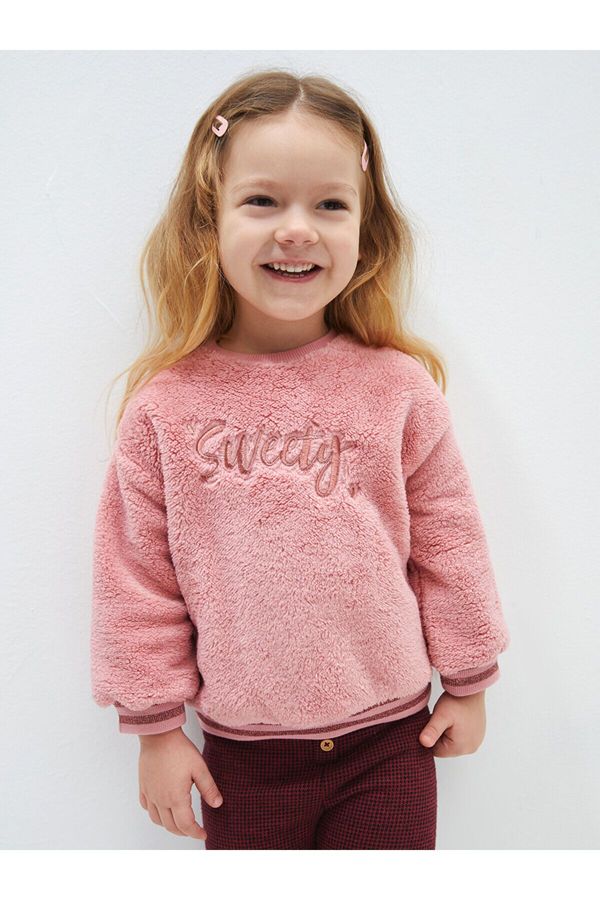 LC Waikiki LC Waikiki Lw - Crew Neck Long Sleeve Plush Baby Girl Sweatshirt with Embroidery Detail