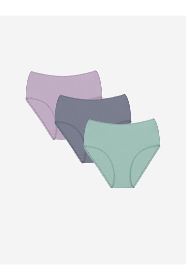 LC Waikiki LC Waikiki Lw - Plain Classic Panties 3 Pack