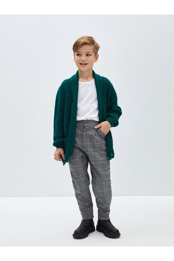 LC Waikiki LC Waikiki Plaid Boys' Pants with Elastic Waist