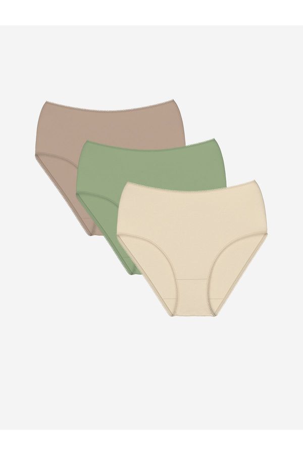 LC Waikiki LC Waikiki Plain Classic Panties 3 Pack