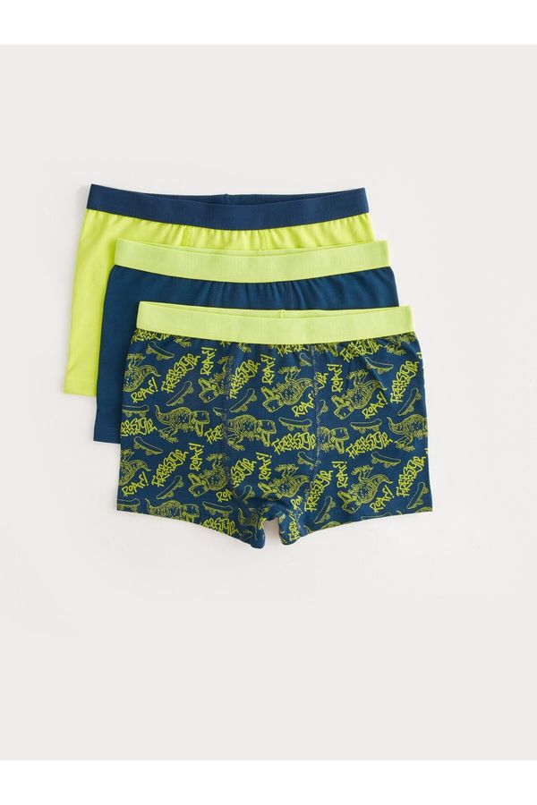 LC Waikiki LC Waikiki Printed Boy's Boxer Set of 3