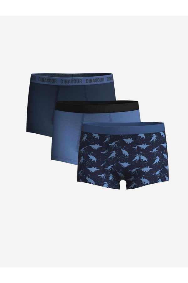 LC Waikiki LC Waikiki Printed Boy's Boxer Set of 3