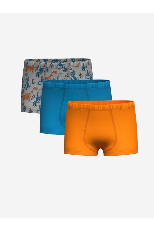 LC Waikiki LC Waikiki Printed Boy's Boxer Set of 3