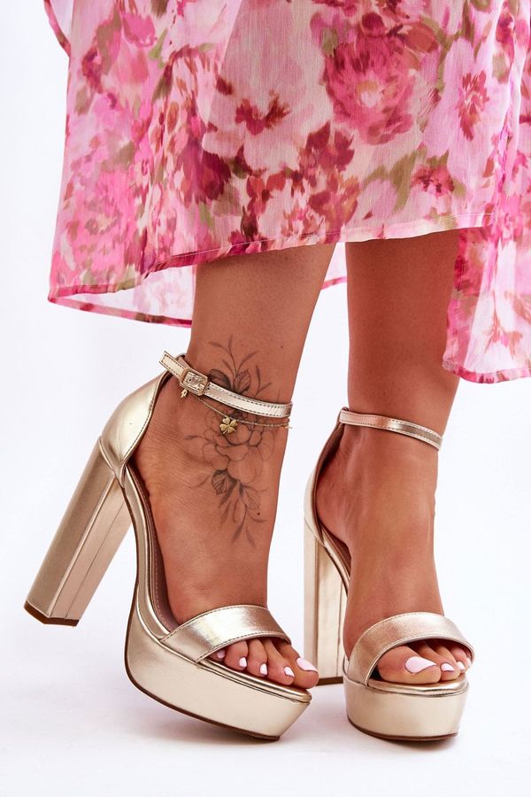 Kesi Leather High Heel Sandals And Golden Sky Dream Platform