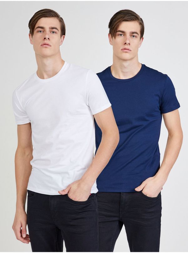 Levi's® Levi&#39;s Set of two men&#39;s T-shirts in white and blue Levi&#39;s® The Perfect - Men&#39;s
