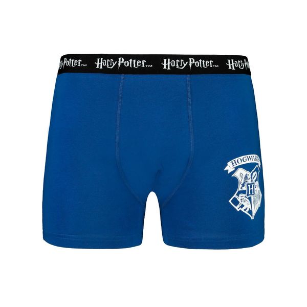 Licensed Men&#039;s boxer HARRY POTTER - Frogies