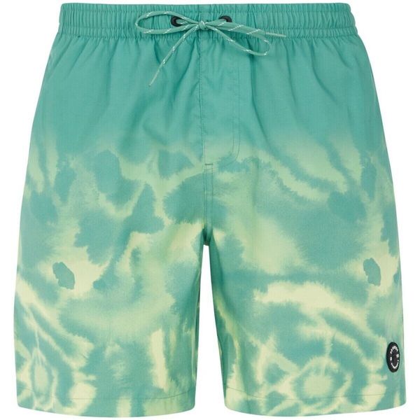 Protest Men's beach shorts Protest PRTAGOR