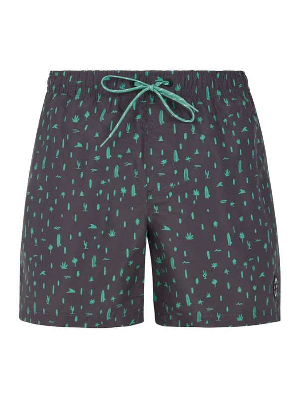 Protest Men's beach shorts Protest PRTGROM