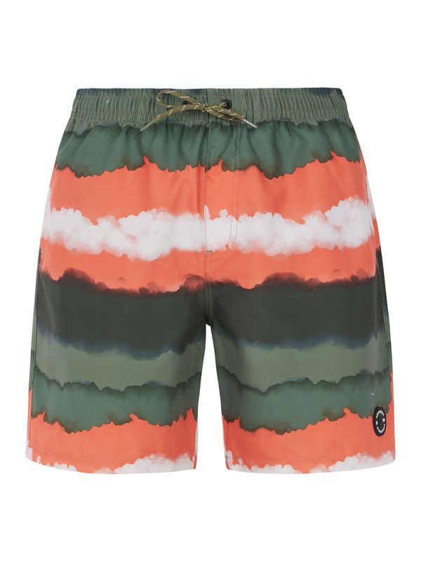 Protest Men's beach shorts Protest PRTHAMSEY