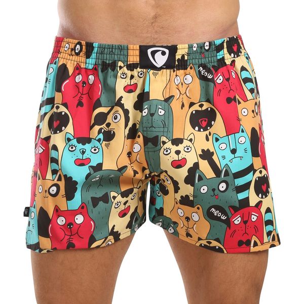 REPRESENT Men's boxer shorts Represent exclusive Ali Cat Fans