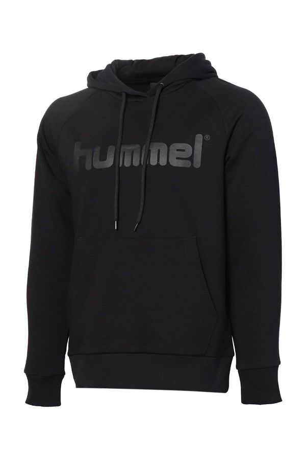 Hummel Men's hoodie Hummel