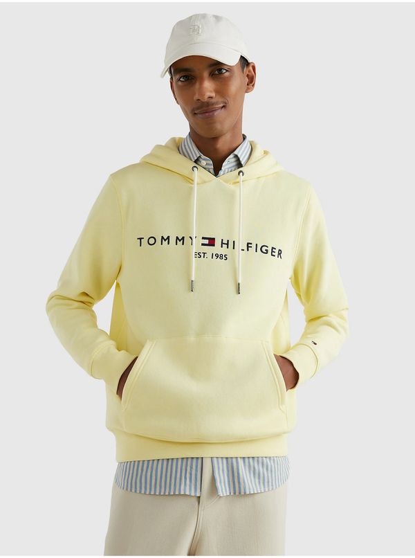 Tommy Hilfiger Men's hoodie Tommy Hilfiger