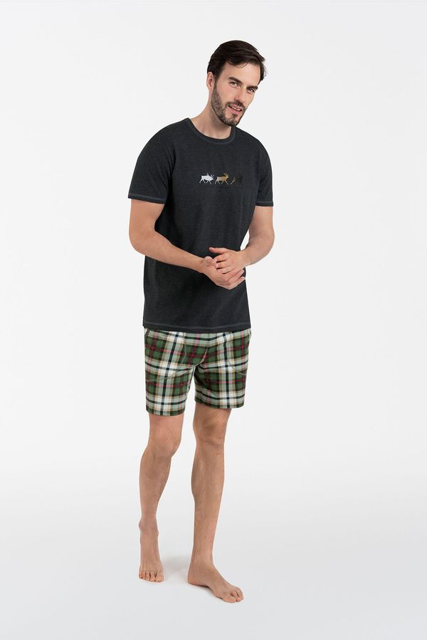 Italian Fashion Men's Seward pyjamas, short sleeves, shorts - dark melange/print