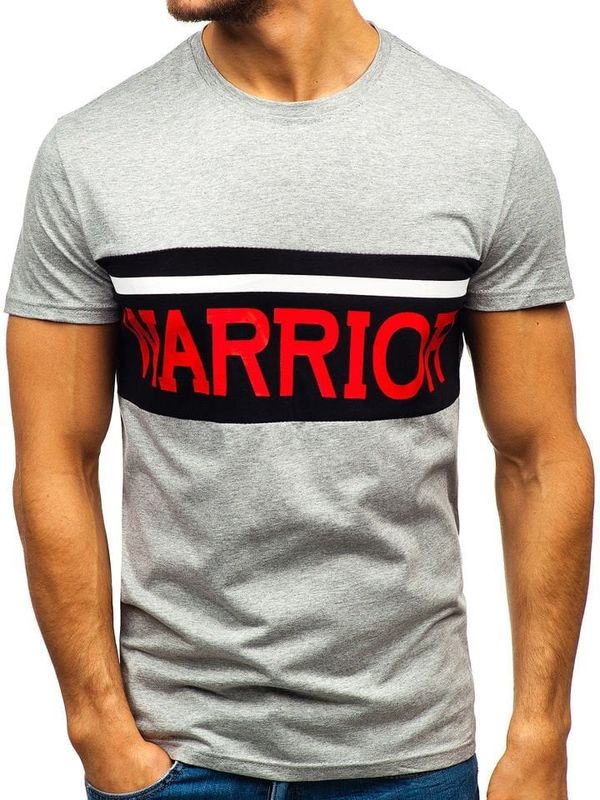 Kesi Men's T-shirt with print "Warrior" 100701 - grey,