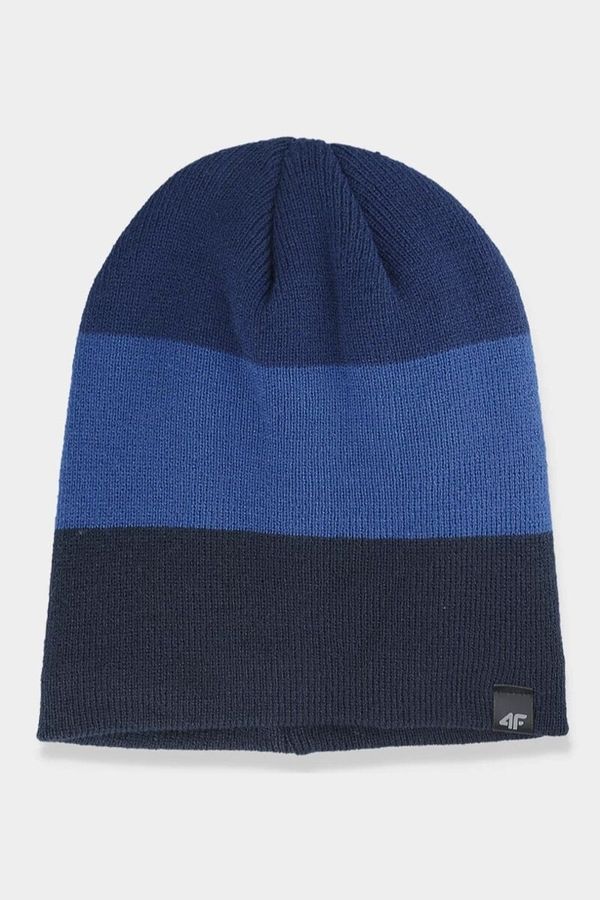 Kesi Men's winter hat 4F dark blue