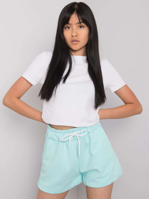 Fashionhunters Mint casual shorts Reya RUE PARIS