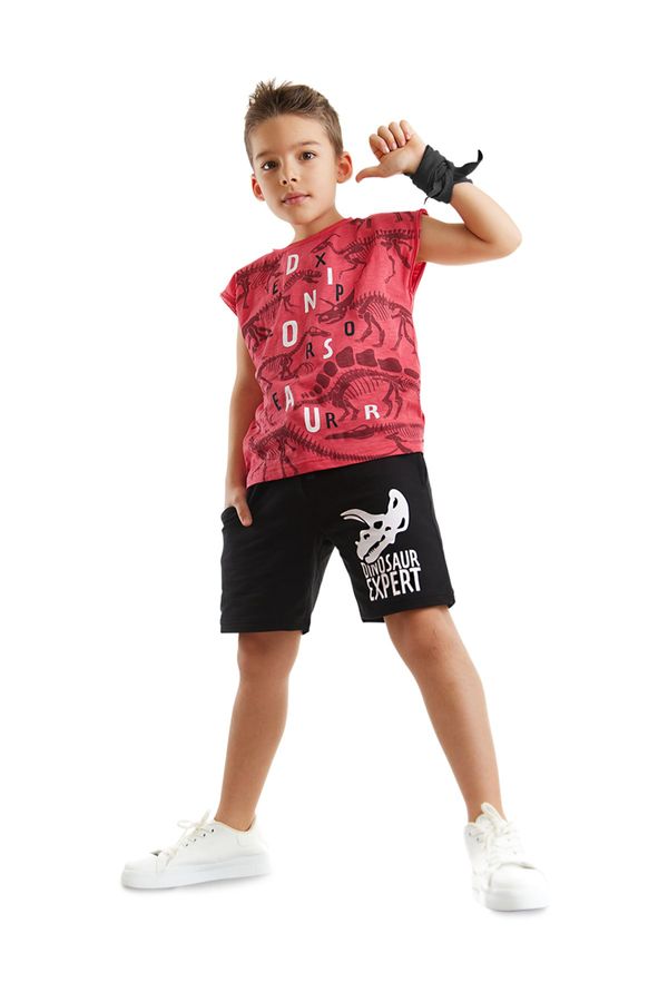 Mushi Mushi Dinosaur Expert Boys T-shirt Shorts Set