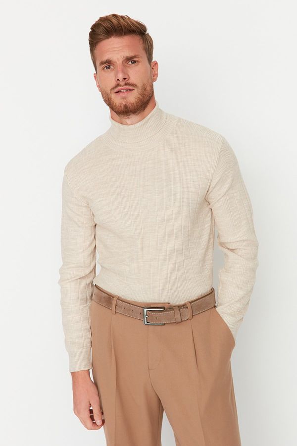 Trendyol Muška rolka Trendyol Knitwear