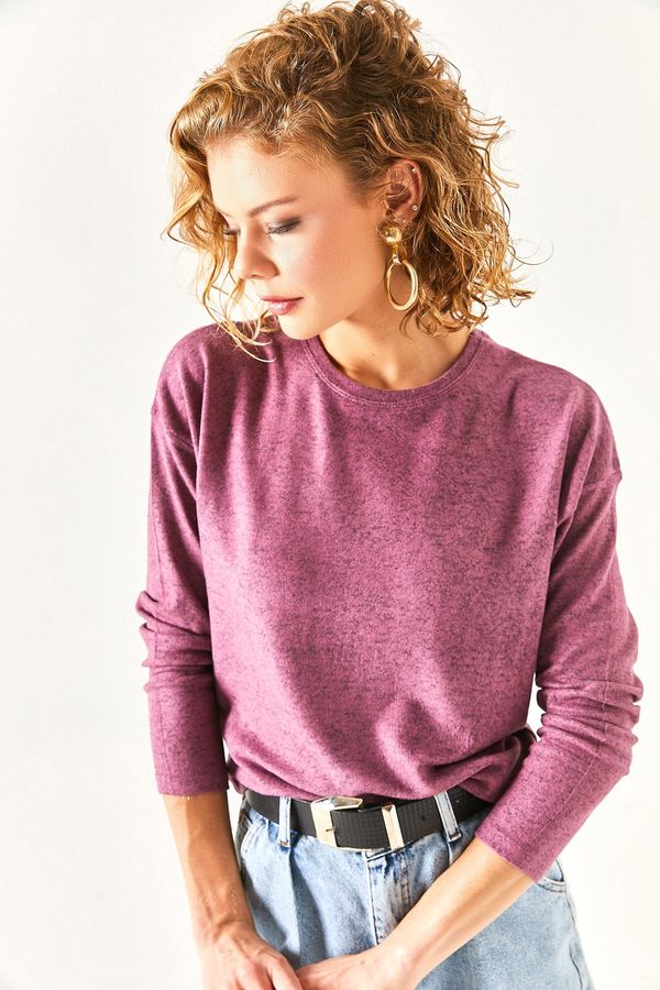 Olalook Olalook Women's Purple Crew Neck Bat Soft Textured Blouse